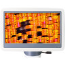 Микроскоп цифровой LEVENHUK D95L LCD, монокулярный 78903